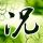 下一站幸福